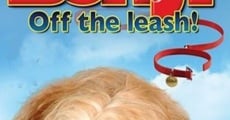 Benji: Off the Leash! streaming