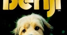 Benji (1974) stream