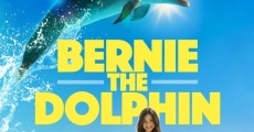 Bernie der Delfin