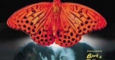 Película Besos de mariposa