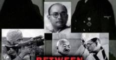 Película Between Gandhi and Hitler