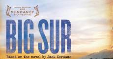 Big Sur streaming