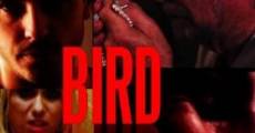 Bird film complet