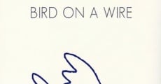 Película Leonard Cohen. Bird on a wire