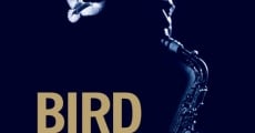 Filme completo Bird - Fim do Sonho