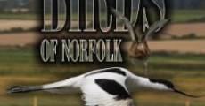 Película Birds of Norfolk: A Bird Watchers Dream