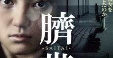 Filme completo Saitai