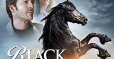 Black Beauty streaming