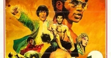 On m'appelait Bruce Lee streaming