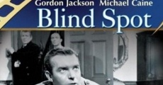 Filme completo Blind Spot