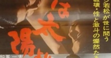 Chi wa taiyô yori akai (1966) stream