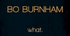 Bo Burnham: what.