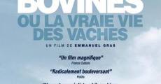 Bovines ou la vraie vie des vaches (2011)