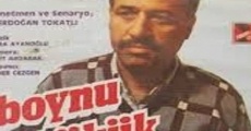 Filme completo Boynu Bükük Küheylan