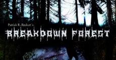 Película Breakdown Forest 2