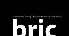 Bric-Brac (2008)