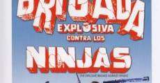 Película Brigada explosiva contra los ninjas