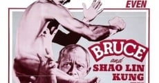 Bruce and Shaolin Kung Fu