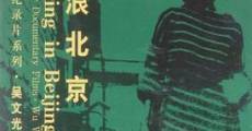 Bumming in Beijing: The Last Dreamers (1990) stream