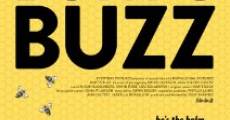 Película Burt's Buzz