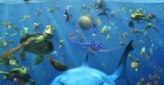 Finding Nemo (2003) stream