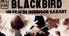 Ver película Bye Bye Blackbird