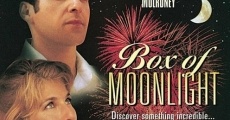 Box of Moonlight (1996) stream