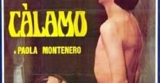 Càlamo (1976) stream