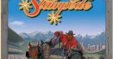 Calgary Stampede Grandstand Show CTV streaming