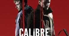 Calibre (2018) stream