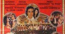 California Dancing Club (1981) Online - Película Completa en Español -  FULLTV