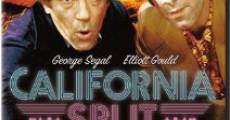 California Split (1974)