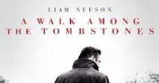 A Walk Among the Tombstones (2014)