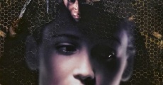 Candyman: Farewell to the Flesh (1995) stream