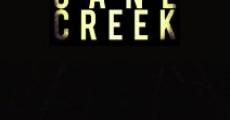 Cane Creek (2014) stream