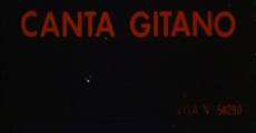 Canta Gitano (1982) stream
