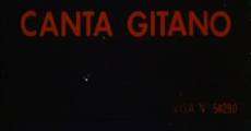 Canta Gitano film complet