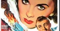 Angel Face (1953) stream