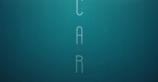 Cargo streaming