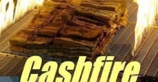 Ver película Cashfire