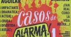 Casos de alarma 1 (1986) stream