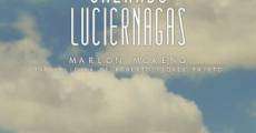 Cazando luciérnagas