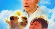 Película Celestial Camel