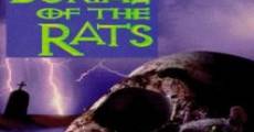 Burial of the Rats (1995)