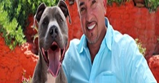 Ver película Cesar Millan: Love My Pit Bull