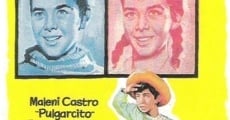 ¿Chico o chica? (1962)