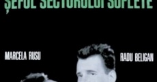 Seful sectorului suflete (1967) stream