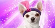 Chihuahua Too! streaming