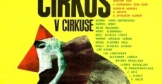 Cirkus v cirkuse (1976) stream