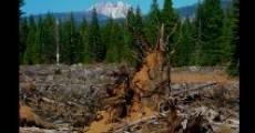 Clearcut Nation (2013)